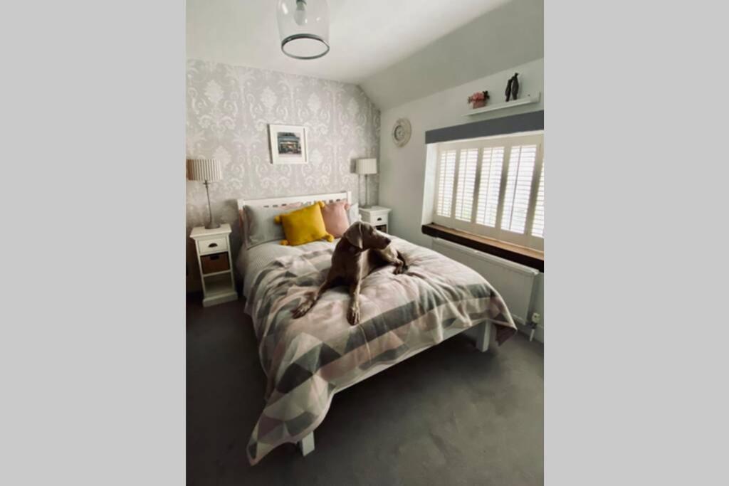 Angel Cottage, Boxgrove, Chichester - Relax And Unwind Buitenkant foto